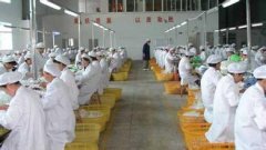 佛山市*寵物用品廠順利通過質量/人權驗廠